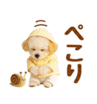 大人可愛いトイプーで梅雨の気づかい敬語（個別スタンプ：32）