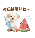 大人可愛いトイプーで梅雨の気づかい敬語（個別スタンプ：34）