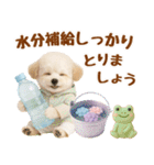 大人可愛いトイプーで梅雨の気づかい敬語（個別スタンプ：35）