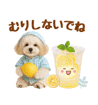 大人可愛いトイプーで梅雨の気づかい敬語（個別スタンプ：36）