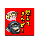 ボノボは言った（個別スタンプ：1）