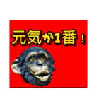 ボノボは言った（個別スタンプ：2）