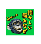 ボノボは言った（個別スタンプ：7）