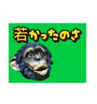 ボノボは言った（個別スタンプ：8）