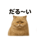ペルシャ猫スタンプ｜ぐてぐてな日常（個別スタンプ：8）