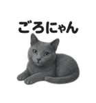 ロシアンブルー猫｜もふもふ＆ぐで〜な日常（個別スタンプ：10）