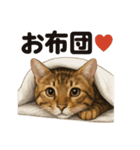 ベンガル猫スタンプ｜もふもふ＆ぐでな日常（個別スタンプ：10）