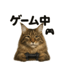 メインクーン猫｜もふもふ＆ぐで〜な日常（個別スタンプ：6）