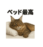 メインクーン猫｜もふもふ＆ぐで〜な日常（個別スタンプ：8）
