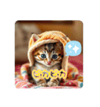 温泉♨️と猫（個別スタンプ：18）