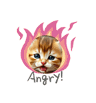 温泉♨️と猫（個別スタンプ：26）