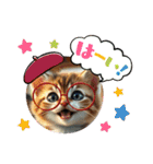 温泉♨️と猫（個別スタンプ：39）