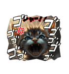 温泉♨️とにゃん子（個別スタンプ：12）