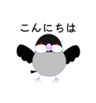 桜文鳥のさくちゃんの日常2（個別スタンプ：2）