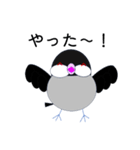 桜文鳥のさくちゃんの日常2（個別スタンプ：18）