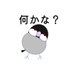 桜文鳥のさくちゃんの日常2（個別スタンプ：21）
