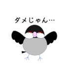 桜文鳥のさくちゃんの日常2（個別スタンプ：25）