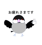 桜文鳥のさくちゃんの日常2（個別スタンプ：30）