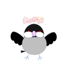 桜文鳥のさくちゃんの日常2（個別スタンプ：31）