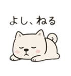 【ずっと使える】しかくい柴犬スタンプ（個別スタンプ：3）