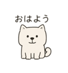 【ずっと使える】しかくい柴犬スタンプ（個別スタンプ：9）