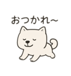 【ずっと使える】しかくい柴犬スタンプ（個別スタンプ：11）