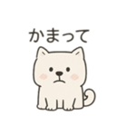 【ずっと使える】しかくい柴犬スタンプ（個別スタンプ：13）