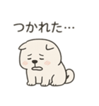 【ずっと使える】しかくい柴犬スタンプ（個別スタンプ：14）