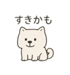 【ずっと使える】しかくい柴犬スタンプ（個別スタンプ：16）