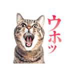 ウホウホ言うだけのスタンプ（個別スタンプ：5）