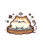 お風呂猫 疑問,（個別スタンプ：1）