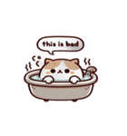 お風呂猫 疑問,（個別スタンプ：13）