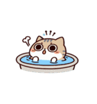お風呂猫 疑問,（個別スタンプ：24）