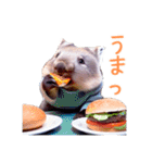 ハッピーアニマル_ウォンバット1（個別スタンプ：16）