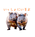 ハッピーアニマル_ウォンバット1（個別スタンプ：35）