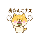 毒舌ゆる柴犬（個別スタンプ：40）