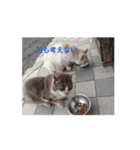 今日も地獄（個別スタンプ：2）