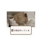 うちの《もぐ》（個別スタンプ：8）