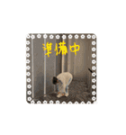 超まほちゃん！1（個別スタンプ：6）
