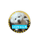 超まほちゃん！1（個別スタンプ：15）