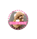 超まほちゃん！1（個別スタンプ：16）