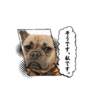動くカポネ（個別スタンプ：6）