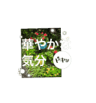 豊かな毎日！（個別スタンプ：7）