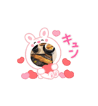 おいしーおみせでせう（個別スタンプ：4）