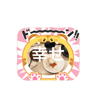 おいしーおみせでせう（個別スタンプ：7）