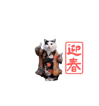 動く！新年猫ミーム(2026)（個別スタンプ：6）