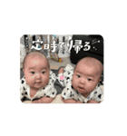 サナアオ（個別スタンプ：14）
