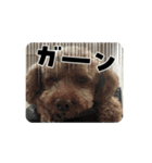 サナアオ（個別スタンプ：15）