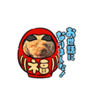 サナアオ（個別スタンプ：16）