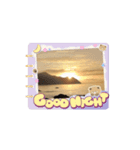 会いたい海！！（個別スタンプ：3）